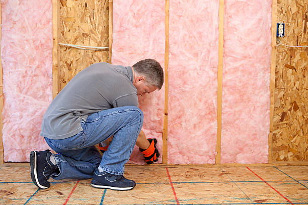 Best Eco-Friendly Insulation in Sherwood, OH
